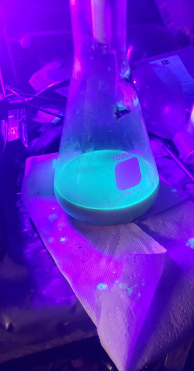 Psilocin and analogs during extraction under UV light